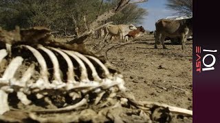 🇦🇺 Battling the dry Australias Drought Crisis  101 East [upl. by Patty]