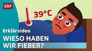 Fieber Darum erhöht sich unsere Temperatur – einfach erklärt  Kindervideos  SRF Kids [upl. by Anima772]