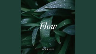 Flow [upl. by Katine716]