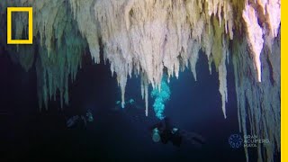 Explore the Worlds Largest Underwater Cave  National Geographic [upl. by Costa]