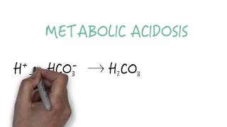 Bicarbonate  The Primary Buffer [upl. by Kellyann]