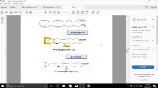 Eicosanoids [upl. by Giffy]