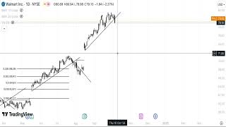 WMT Stock Technical Analysis 081024 [upl. by Yoccm703]