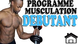 PROGRAMME MUSCULATION MAISON Débutant [upl. by Holcomb]