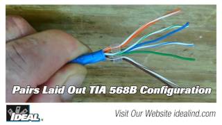 Cat 6 Plug How To Terminate Short Video [upl. by Lledualc]