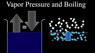 Vapor Pressure and Boiling [upl. by Akinoj]