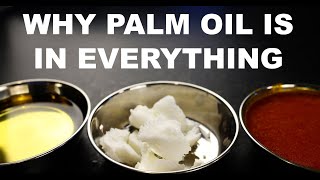 Why palm oil is in everything and why thats bad [upl. by Yecaw]