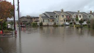 Petaluma Flooding [upl. by Atnoled810]