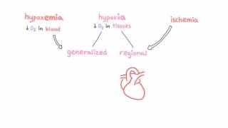 Introduction to hypoxemia [upl. by Murphy398]