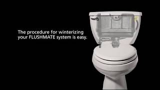 How to winterizing the Flushmate System [upl. by Adnolay]