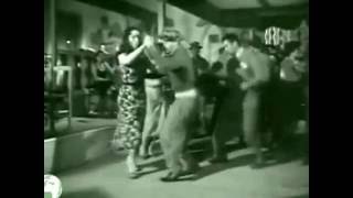 Cumbia de los pajaritos  Cantinflasavi [upl. by Ezana482]