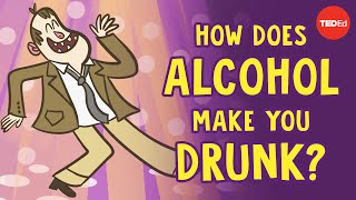 How does alcohol make you drunk  Judy Grisel [upl. by Stephenson]