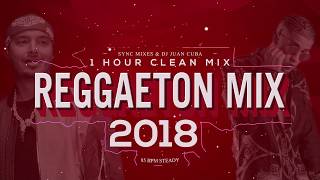 Reggaeton 2018 Clean Mix  1 hour Only hits [upl. by Fairley928]