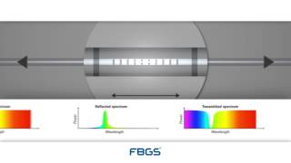 FBG Sensor Principle [upl. by Pasahow]