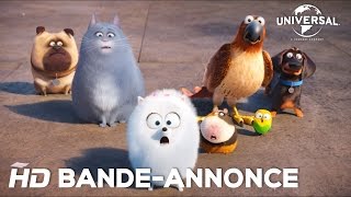 Comme Des Bêtes BandeAnnonce 2 Universal Pictures [upl. by Bois367]