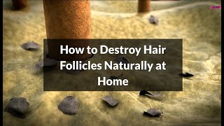 How to Destroy Hair Follicles Naturally at Home  KetchBeauty [upl. by Godric]