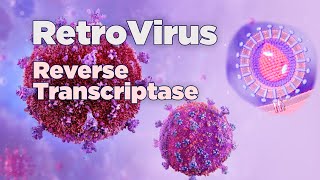 Retrovirus  Mechanism of Retrovirus  Reverse Transcriptase [upl. by Mosnar]