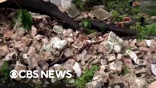 Tropical cyclone leaves damage in Mauritius [upl. by Howzell]