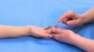 Hand Examination Finger Flexors FDS and FDP [upl. by Bernie865]