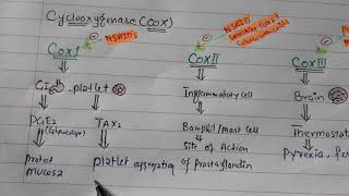 NSAID Pharmacology introduction [upl. by Kenzi938]