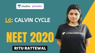 L6 Calvin Cycle  Photosynthesis Complete NCERT Review  NEET 2020 [upl. by Nerland540]