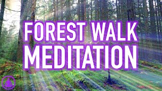 Guided Forest Walk Meditation  Calming and Relaxing Mindfulness Activity [upl. by Yelsek]