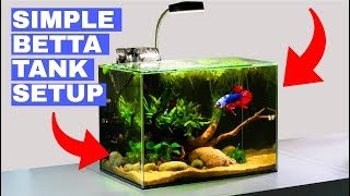 Building a Simple Betta Tank TUTORIAL [upl. by Rafaelita]