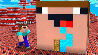 7 Ways to Prank Noob1234s Minecraft House [upl. by Lokin]