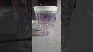 How to use your mixing cup [upl. by Hampton]