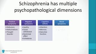 1 Schizophrenia psychopathology [upl. by Verras]