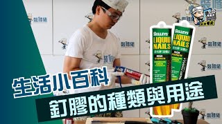 【開箱實測】 釘膠的種類與用途｜居家常識｜生活小智慧｜家居產品｜ [upl. by Eecyal]