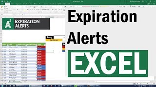 Essential Skill with Excel Expiration Alerts with Conditional Formatting [upl. by Navek]