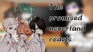 The promised Neverland  Tpn  Reacts to Tiktoks and vídeos [upl. by Deckert]