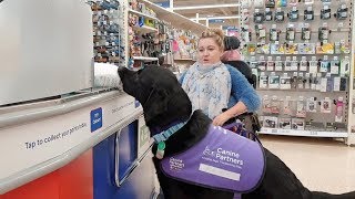 Assistance Dog Transforms Disabled Owners Life [upl. by Costin]