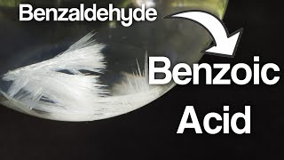 Synthesis of Benzoic acid from Benzaldehyde [upl. by Elissa]