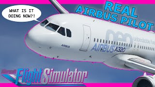 Real Airbus Pilot A320 NEO Autopilot Basics Tutorial in Microsoft Flight Simulator [upl. by Hillell]