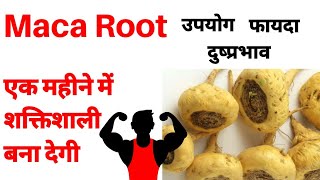 Maca root use benefits and side effects in hindi  maca root khane ke fayde  Renatus Nova Wellness [upl. by Elagibba]