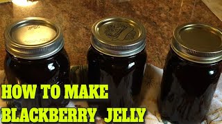 BLACKBERRY JELLY  STEP BY STEP  EASY…DELICIOUS RECIPE [upl. by Aissatsan641]