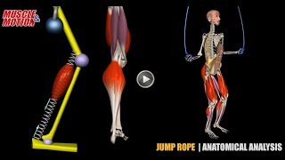 Jump Rope  Anatomical Analysis  Active Muscles [upl. by Suzette]