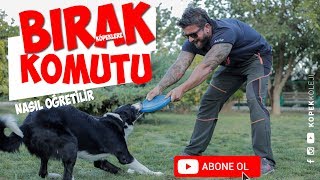 Köpeklere Bırak Komutu Nasıl Öğretilir [upl. by Nahtnamas84]