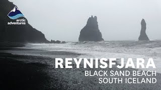 Reynisfjara Black Sand Beach Iceland [upl. by Anneyehc]