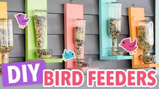 DIY Bird Feeders [upl. by Ennavoj284]