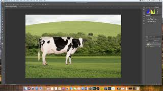 How to insert an image into another image Photoshop  EASY EXPLANATION [upl. by Htebasil999]