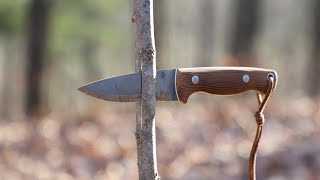 The Oldtime Woodsmen Never Told You About this One Traditional Woodworking Bushcraft Hack [upl. by Nur8]