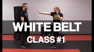 Introduction to Krav Maga  White Belt Class 1 Stance amp Palm Strike [upl. by Aissert]