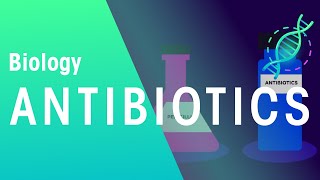 Antibiotics  Health  Biology  FuseSchool [upl. by Notxap]