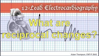 What are reciprocal changes [upl. by Lizabeth319]