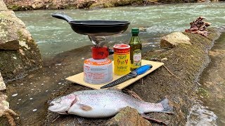 Creek Side TROUT CATCH and COOK [upl. by Aknahs857]