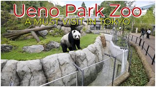 UENO PARK ZOO  A MUST visit in Tokyo [upl. by Daukas]