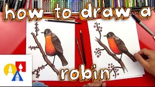 How To Draw A Robin Bird realistic [upl. by Landa]